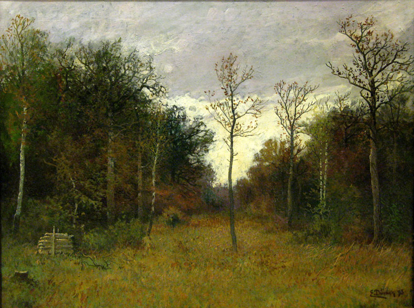 forest opening